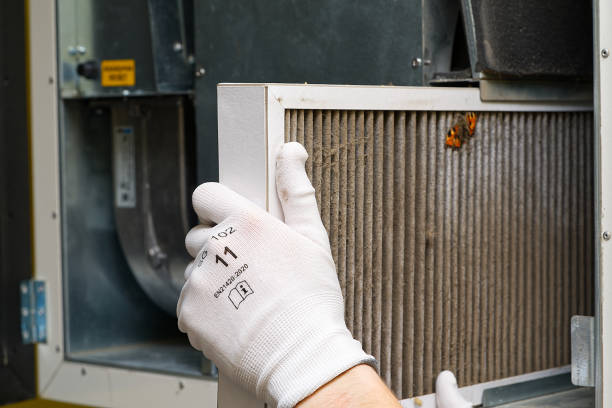 Best Home Air Vent Cleaning  in Zuni Pueblo, NM